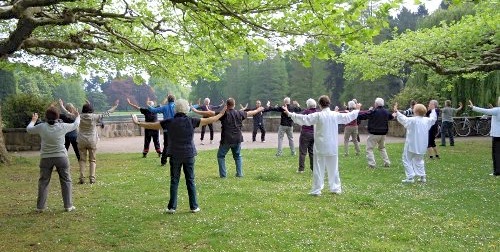 Eine größere Gruppe Menschen praktiziert ihrem Lehrer gegenüberstehend Qi Gong im Park unter Bäumen.